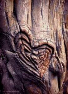 heart-tree